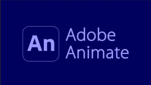 Adobe Animate Course Outline